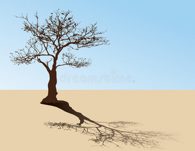 沙漠上的树