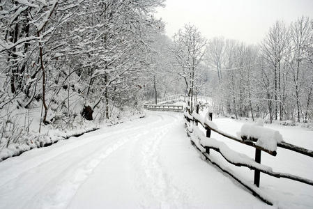 雪地里的路