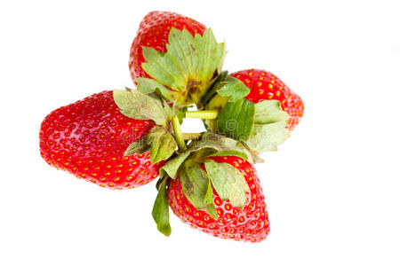 白底草莓浆果。