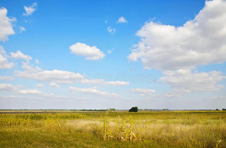 天空