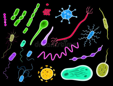 细菌和病毒