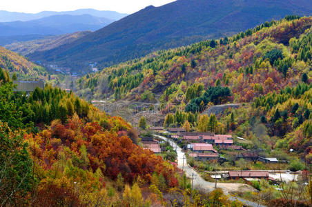 田野景观