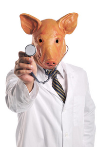 猪流感隐喻
