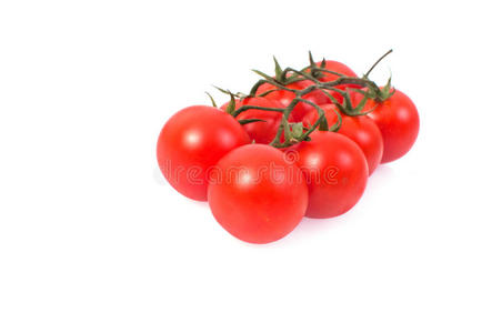 白底西红柿
