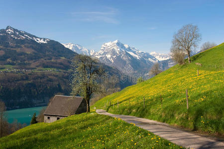 春季高山景观