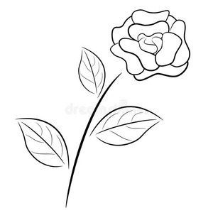 黑白分离的天然玫瑰花黑白华丽玫瑰四合院挪威民间艺术黑白图案玫瑰岭