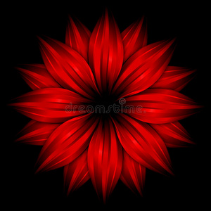 黑底花黑底抽象红花照片