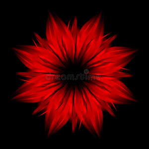 黑底花黑底抽象红花照片