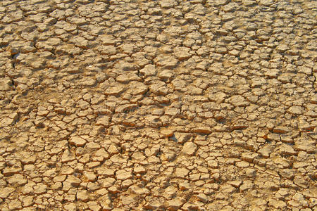 干河床和曲流长途跋涉采用nakhr干涸河道-阿曼干河在夏季的一天乘客