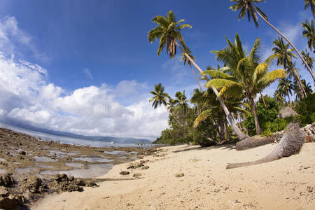 斐济热带海滩