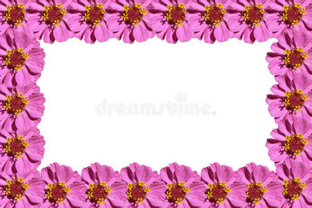 紫花架
