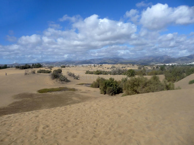 马斯帕洛马斯沙丘风景区图片