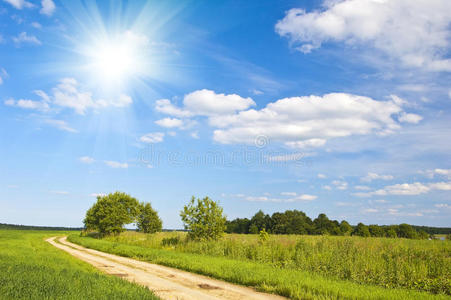 美丽的夏季景观