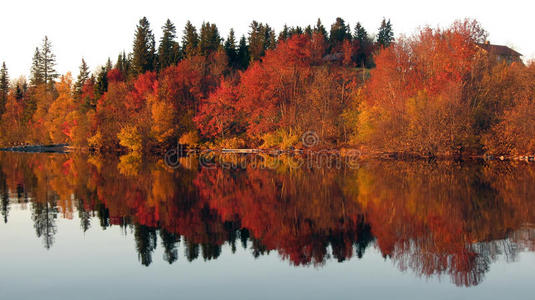 镜湖红树倒影图片