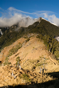 山景