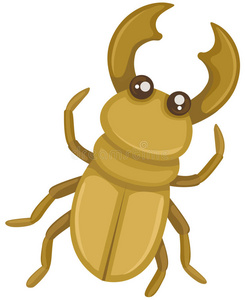 花园的甲虫图片