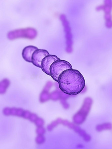 链球菌微生物图片