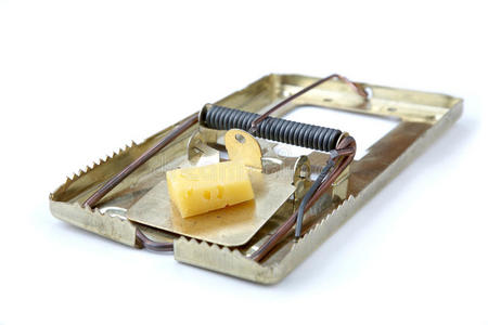 奶酪金属捕鼠器