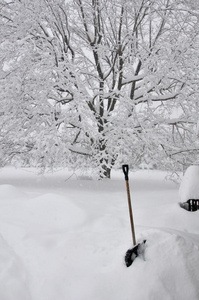 暴风雪