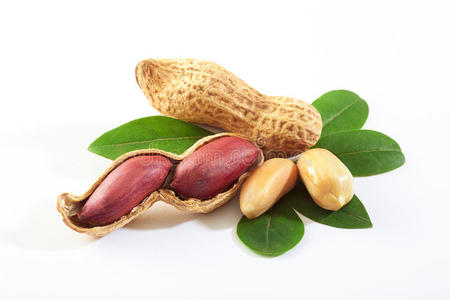 花生摄影图-花生图片大全-花生照片-摄图新视界