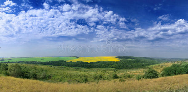 黄绿色的田野。山麓。