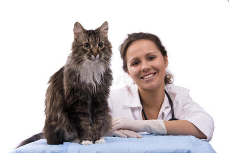 兽医和猫图片