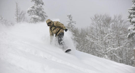 自由式滑雪板运动员