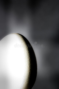 光影中的蛋图片