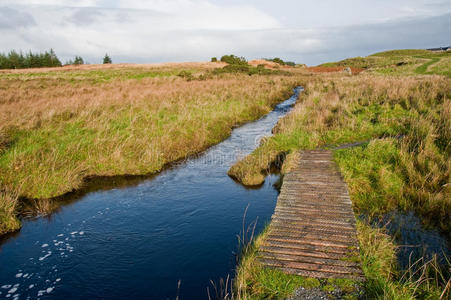 通往eilean mor loch finlaggan的人行天桥