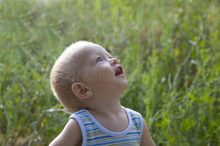 金色小男孩夏天在户外的草地上
