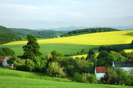 波兰乡村景观