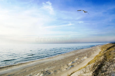 海滩风景