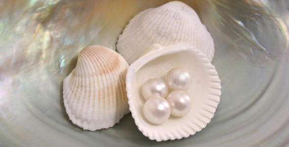 珍珠和贝壳海洋背景用贝壳与玻璃彩色球夏季时间海滩自然饰品美丽的