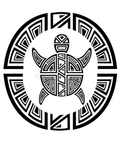 古董龟图片