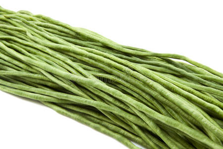 长绿豆长豆子一捆新鲜的长豆子紫长豆长豆院子里长豆农场白色背景上的