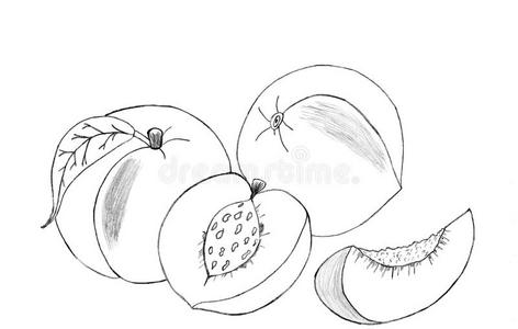 桃子关闭图片-桃子关闭素材-桃子关闭插画-摄图新视界