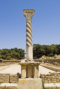 迦太基罗马圆形剧场的柱子