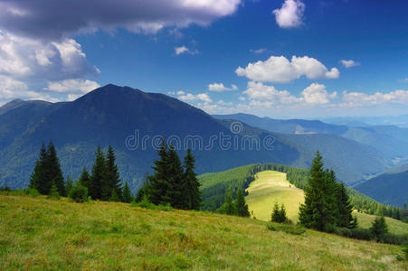 领域 小山 环境 喀尔巴阡山 旅行 松木 美女 场景 地理