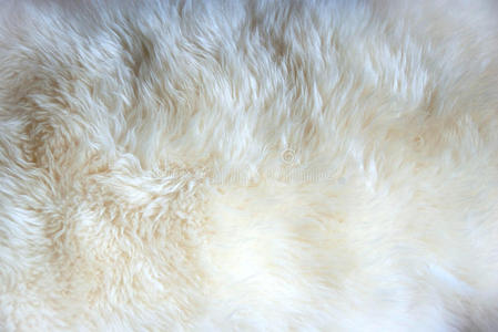 黑头毛毯图片-黑头毛毯素材-黑头毛毯插画-摄图新视界