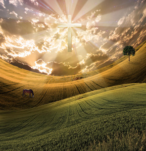 交叉的天堂图片