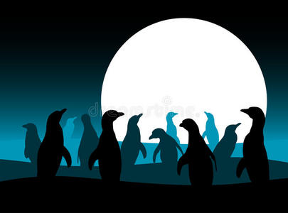 企鹅和月亮