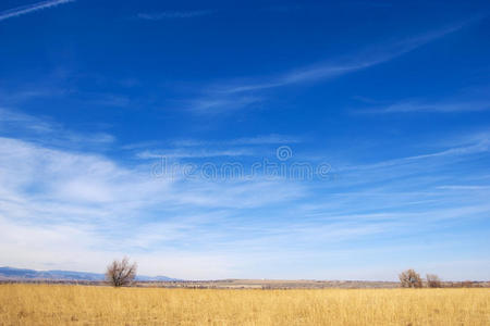 科罗拉多大草原上鲜艳的色彩图片