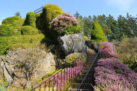 花园楼梯