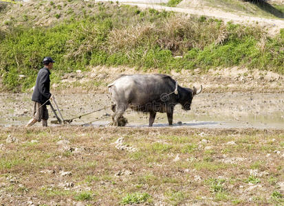 中国农民工作图片