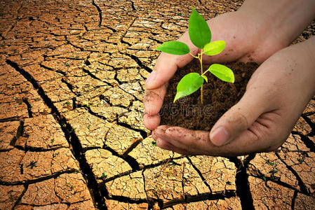 环境保护环境保护理念照片