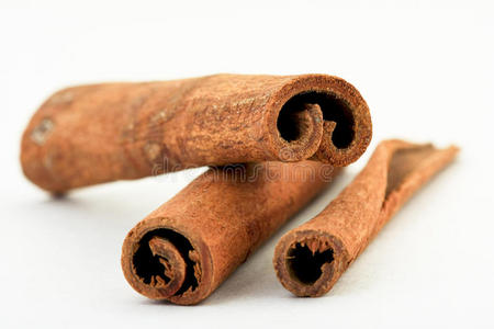 肉桂树皮图片
