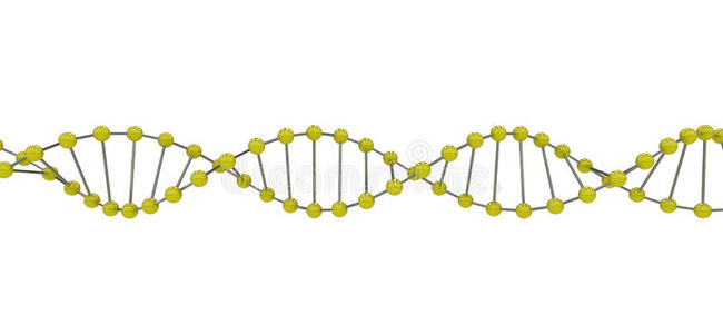 三维dna