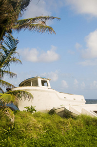 尼加拉瓜玉米岛上的旧渔船图片