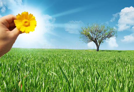 普照万物太阳图片