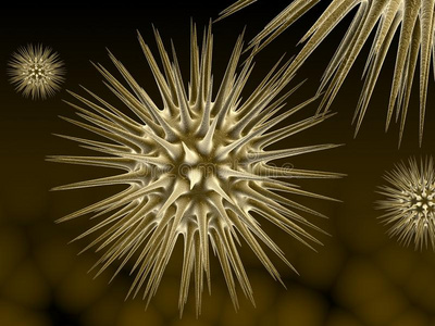 流感病毒的图片